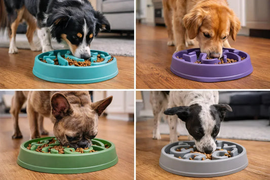 Best Slow Feeder Bowls for Dogs Who Eat Too Fast